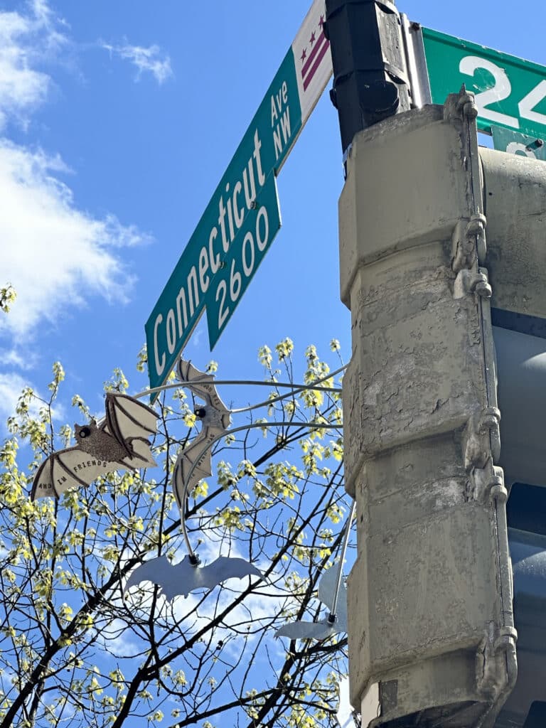 A pole with a sign that says Connecticut Ave NW has a sculpture of bats flying out of it.
